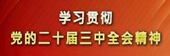 學習貫徹黨的二十屆三中全會精神